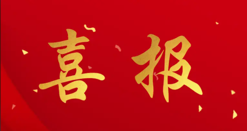 龙翔职中对口高考喜报